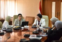 نائب وزير الصحة تعقد اجتماعات  لدراسة جدوى نموذج رعاية القبالة