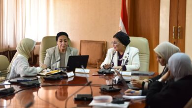 نائب وزير الصحة تعقد اجتماعات  لدراسة جدوى نموذج رعاية القبالة