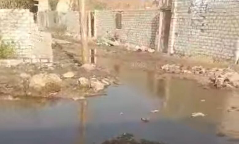 قرية النور ببنى سويف لا ترى النور بسبب طفح الصرف الصحي