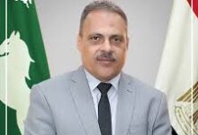 تحرير ٨٠٠محضر لأصحاب المخابز والمحال التجارية المخالفة بالشرقية