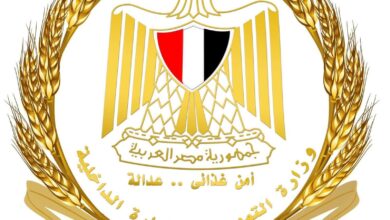 التموين ينفي ما تم تداوله بشأن وجود أزمة في أسطوانات البوتاجاز ببني سويف