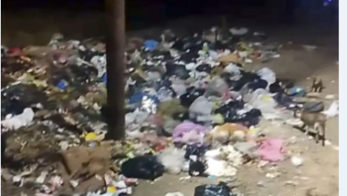 محافظ الشرقية :الدفع بالمعدات اللازمة لرفع كافة التراكمات بالشوبك بسطة