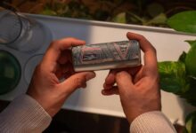 ايكوس"IQOS" تدعم الفن المحلي من خلال تجارب إبداعية غامرة