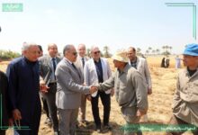 محافظ الشرقيه يشهد اعمال موسم حصاد القمح بحقول ابو سمران