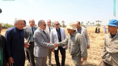 محافظ الشرقيه يشهد اعمال موسم حصاد القمح بحقول ابو سمران