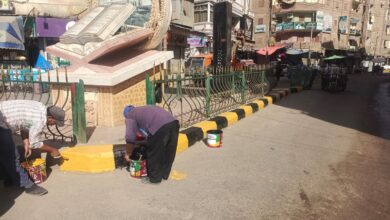 رئيس مركز ومدينة دسوق يتابع سير العمل بمنظومة النظافة وخطوط سير المعدات