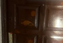 الصحة تغلق “هيلثي لايف كلينك” (Healthy Life Clinic) لوجود مخالفات جسيمة