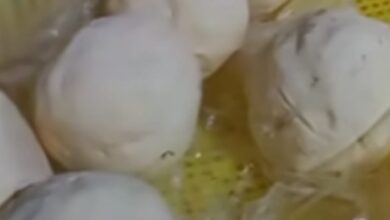 ضبط مصنع جبن غير مرخص وبحوزته 3 أطنان مواد خام غير صالحة للتداول ببني سويف