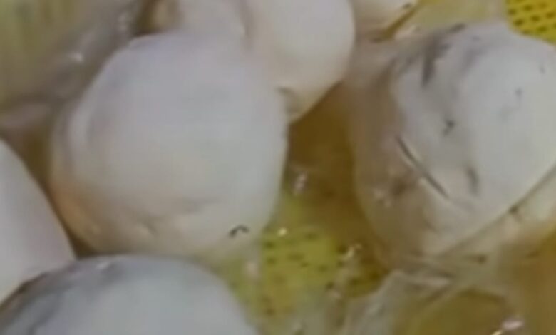 ضبط مصنع جبن غير مرخص وبحوزته 3 أطنان مواد خام غير صالحة للتداول ببني سويف