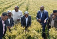 "الزراعة" تستعرض جهود وأنشطة "استصلاح الأراضي" خلال النصف الأول من أبريل