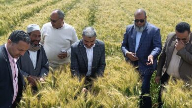 "الزراعة" تستعرض جهود وأنشطة "استصلاح الأراضي" خلال النصف الأول من أبريل