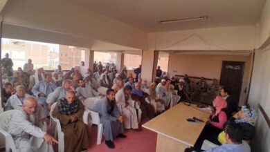 "الزراعات التعاقدية" تطلق قوافل إرشادية مكثفة في 3 محافظات