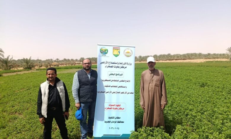 "بحوث الصحراء" ينفذ 7 حقول إرشادية بالوادي الجديد لدعم الزراعة الصحراوية