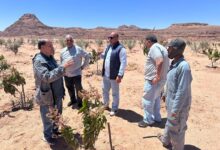 بتكليفات وزير الزراعة.. خبراء "بحوث الصحراء" يتفقدون التجمعات الزراعية بكاترين