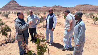 بتكليفات وزير الزراعة.. خبراء "بحوث الصحراء" يتفقدون التجمعات الزراعية بكاترين