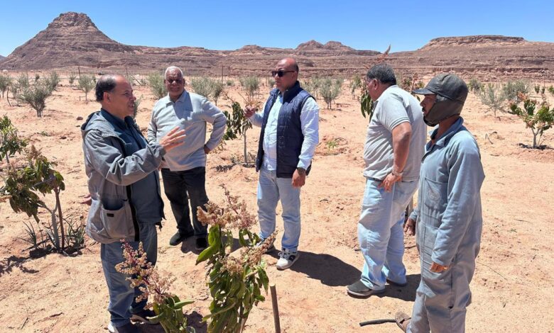 بتكليفات وزير الزراعة.. خبراء "بحوث الصحراء" يتفقدون التجمعات الزراعية بكاترين