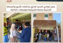 حصر وتسجيل العمالة غير المنتظمة بمواقع المقاولات