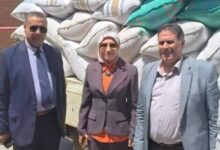 الزراعة" تتابع حصاد وتوريد القمح بالفيوم