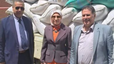 الزراعة" تتابع حصاد وتوريد القمح بالفيوم