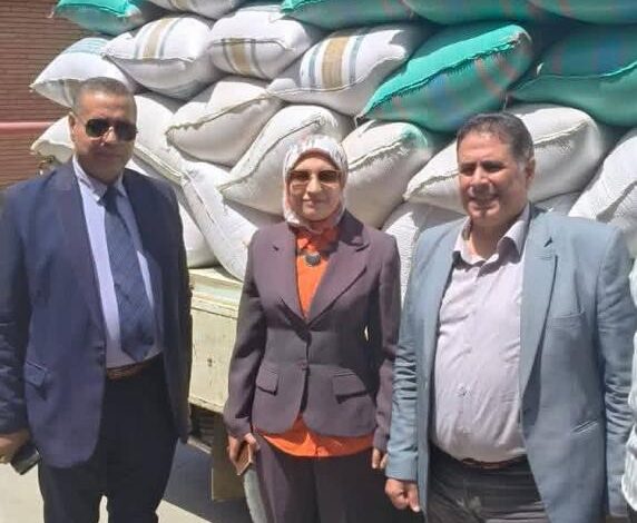 الزراعة" تتابع حصاد وتوريد القمح بالفيوم