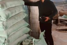 ١٣محضر للمخابز البلدية بالقليوبية