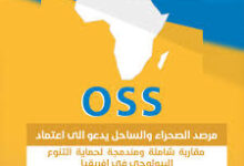 مصر تستضيف الدورة الـ 33 لاجتماع مجلس إدارة مرصد الصحراء والساحل (OSS)