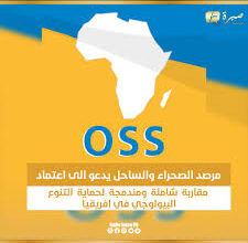 مصر تستضيف الدورة الـ 33 لاجتماع مجلس إدارة مرصد الصحراء والساحل (OSS)
