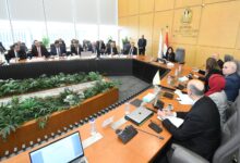 وزيرة الإسكان تتابع الموقف التنفيذ للمشروعات وأعمال التطوير بـ4 مدن في الصعيد