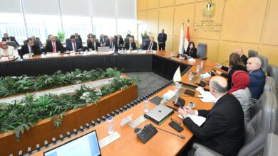 وزيرة الإسكان تتابع الموقف التنفيذ للمشروعات وأعمال التطوير بـ4 مدن في الصعيد