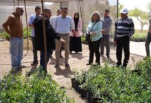 "الزراعة" اختتام زيارة بعثة "إيفاد" لمطروح وتكشف عن توسعات كبرى في مشروعات حصاد الأمطار