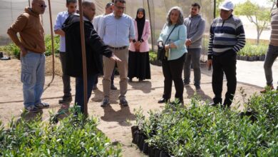 "الزراعة" اختتام زيارة بعثة "إيفاد" لمطروح وتكشف عن توسعات كبرى في مشروعات حصاد الأمطار