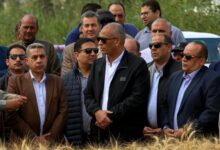 إطلاق موسم حصاد القمح من حقول قرية نصره يكفر الشيخ.. 243 ألف فدان سنابل ذهبية