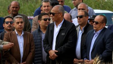 إطلاق موسم حصاد القمح من حقول قرية نصره يكفر الشيخ.. 243 ألف فدان سنابل ذهبية