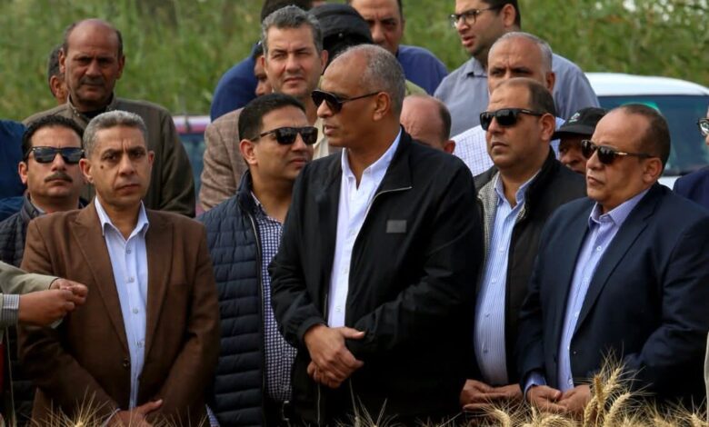 إطلاق موسم حصاد القمح من حقول قرية نصره يكفر الشيخ.. 243 ألف فدان سنابل ذهبية