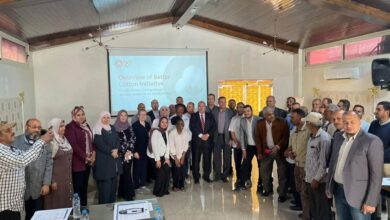 اعلنت وزارة الزراعة واستصلاح الأراضي، عن تنفيذ فعاليات الدورة الأولى لتدريب المدربين ضمن مبادرة "القطن الأفضل"، والتي ينفذها معهد بحوث القطن