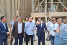 وكيل وزارة التموين بالقليوبية:سعر توريد الأردب المحدد بـ 2500 جنيه محفزًا للمزارعين على زيادة الكميات الموردة