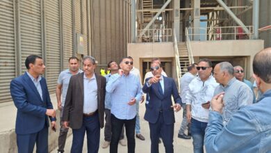 وكيل وزارة التموين بالقليوبية:سعر توريد الأردب المحدد بـ 2500 جنيه محفزًا للمزارعين على زيادة الكميات الموردة