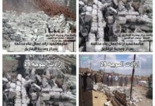 إزالة ٥٥ حالة تعدي بالبناء المخالف بالشرقية