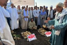 اتحاد منتجي ومصدري الحاصلات البستانية يتابع نتائج الأصناف الجديدة للبطاطس