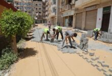 "جميلة يا بلدي» تُواصل إعادة المظهر الحضاري لمحافظة كفر الشيخ