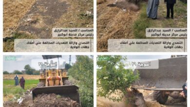 إزالة ١٣٥ حالة تعدي بالبناء المخالف بمراكز الشرقية
