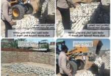 إزالة ١٢ حالة تعدي بالبناء المخالف على الارض الزراعية بالشرقية