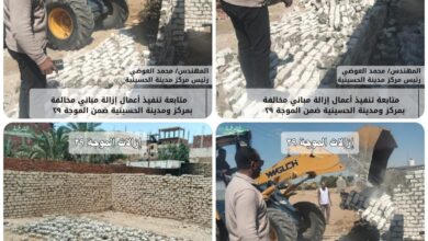 إزالة ١٢ حالة تعدي بالبناء المخالف على الارض الزراعية بالشرقية