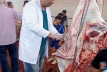 "الزراعة": ذبح 35,514 أضحية بالمجازر الحكومية مجاناً للمواطنين خلال عيد الأضحى