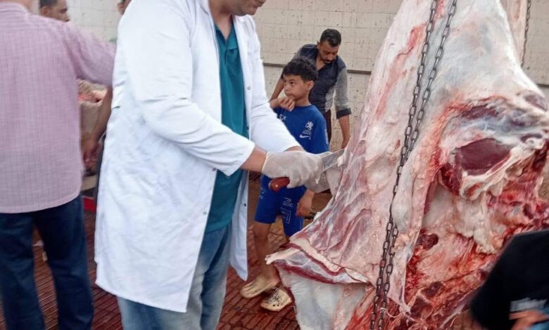 "الزراعة": ذبح 35,514 أضحية بالمجازر الحكومية مجاناً للمواطنين خلال عيد الأضحى