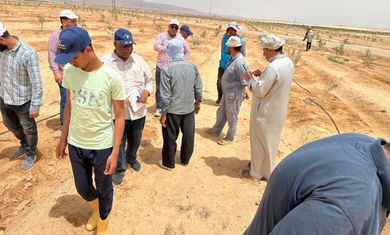 "الزراعة" تواصل دعم مزارعي التجمعات التنموية بوسط سيناء