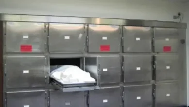 العثور على جثة ربة منزل بطريق بنها شبرا الحر
