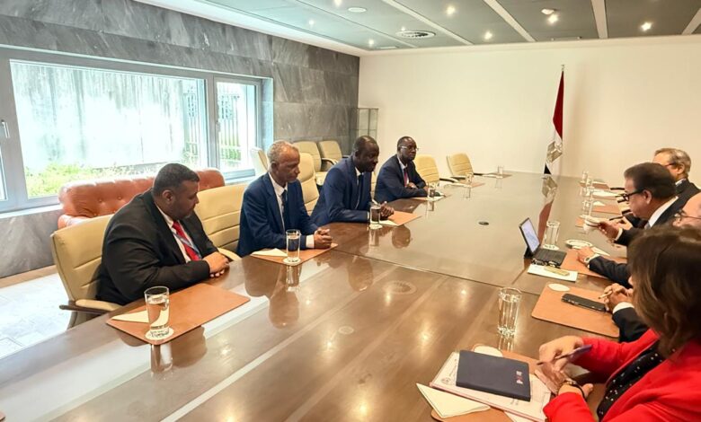 وزير الصحة يبحث مع نظراءه من روسيا والسودان وموريتانيا سبل تعزيز التعاون المشترك