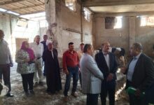 رئيس الإصلاح الزراعي يتفقد مشروعات الإنتاج الحيواني وتوريد القمح ومواجهة التعديات بالشرقية