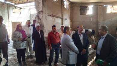 رئيس الإصلاح الزراعي يتفقد مشروعات الإنتاج الحيواني وتوريد القمح ومواجهة التعديات بالشرقية